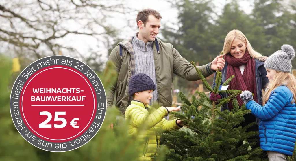 Familie kauft Weihnachtsbaum im Freien für 25 Euro